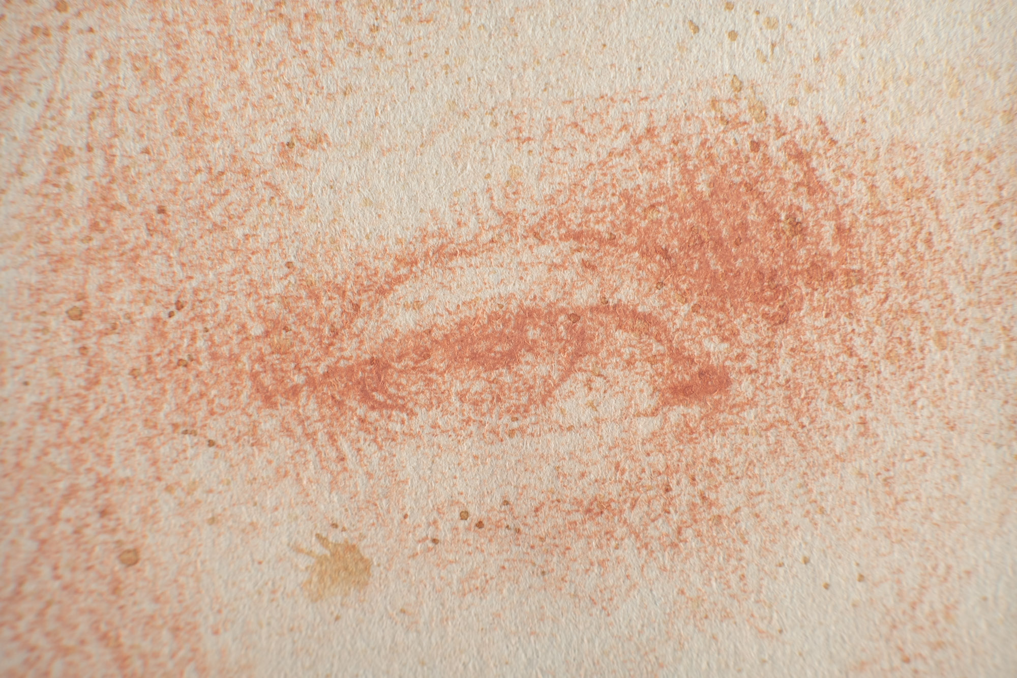 Autoritratto da giovane