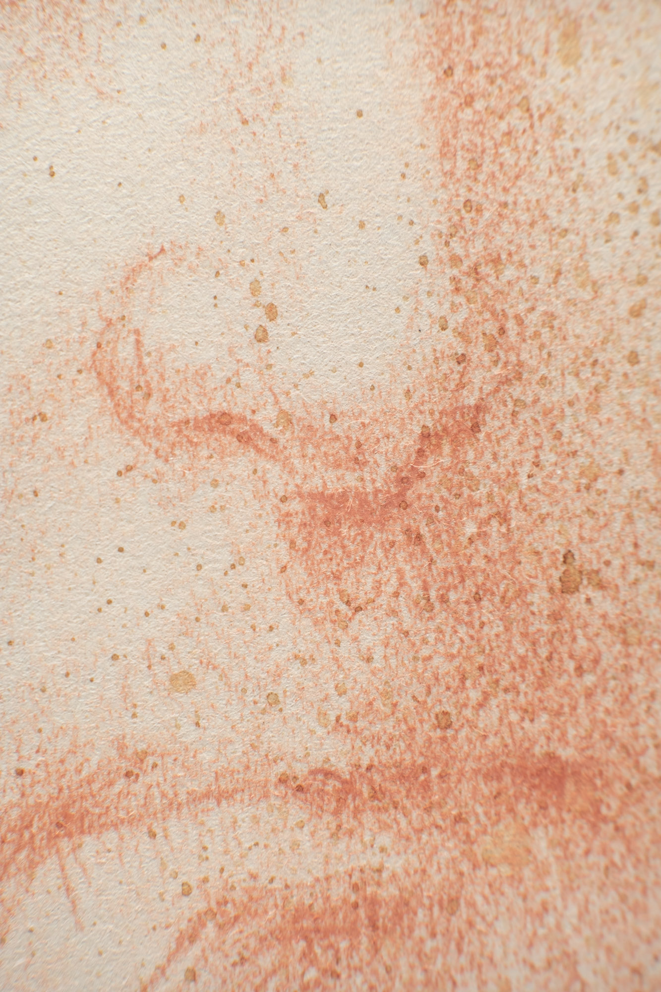 Autoritratto da giovane